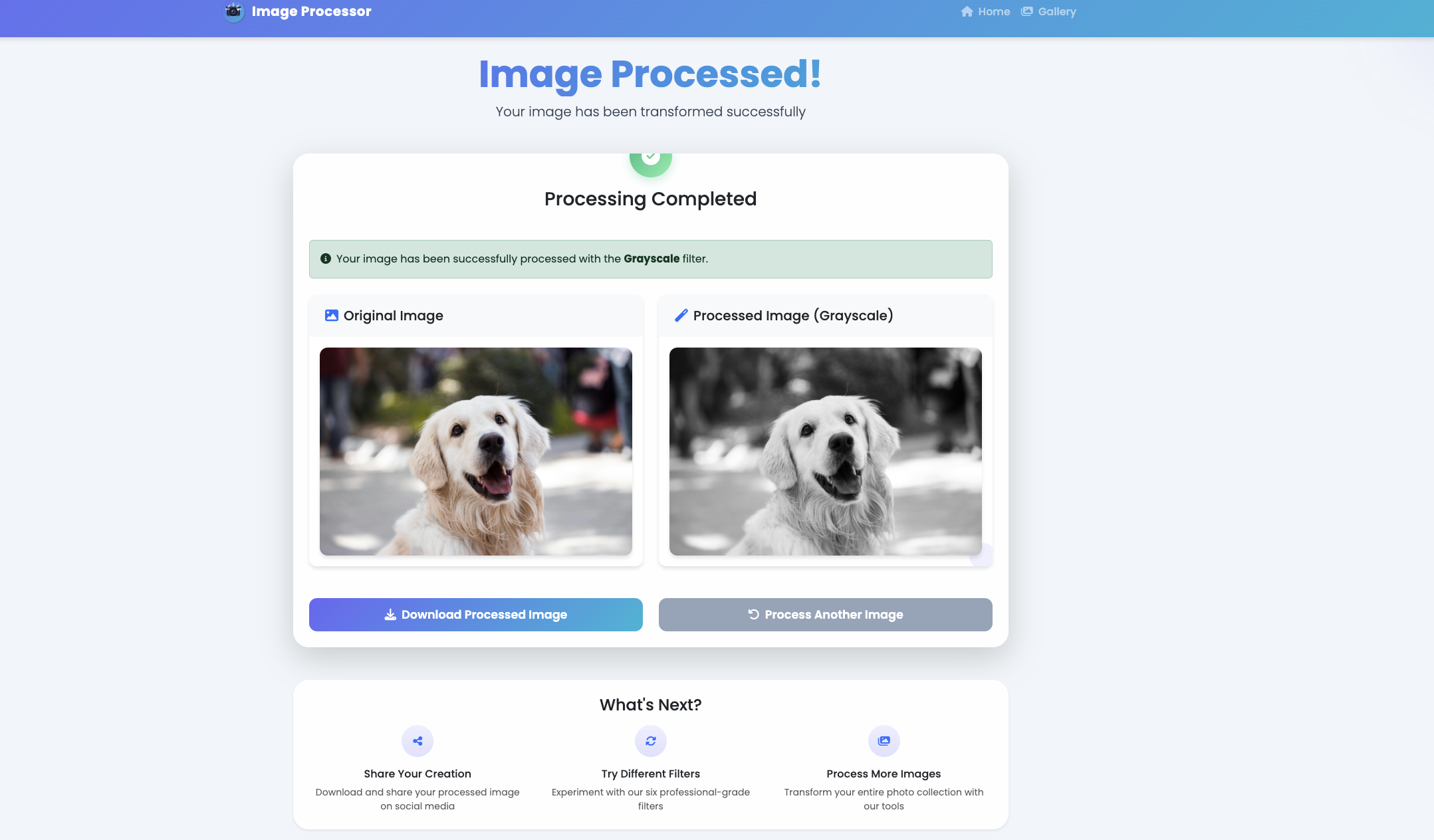 Original vs Processed